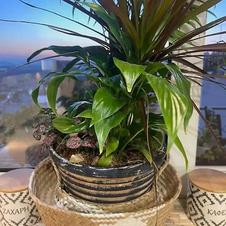 Newly Built With Amazing View Apartment *